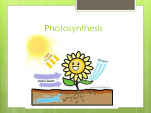 Photosynthesis