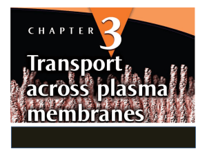Transport across membranes - SandyBiology1-2