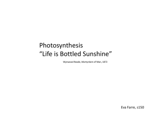 Photosynthesis: light reactions