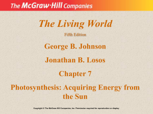 Ch. 7 - McGraw Hill Higher Education