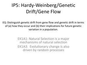 IP4: Hardy-Weinberg/Genetic Drift/Gene Flow