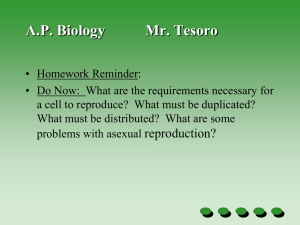Aim: What happens during mitosis?
