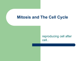 Writer Faq Content Marketplace Writeraccess Mitosis Essay Cell Division And Mitosis Chapter Complete Photo Allabout Civil Tk Meiosis Essay Health Care also An Essay On English Language Business Plan Writers Virginia