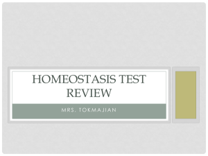 Homeostasis Test Review