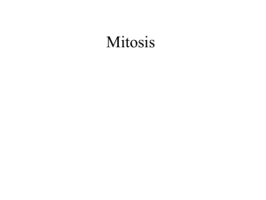 Mitosis - Cloudfront.net