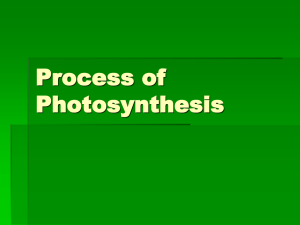 Light Reaction