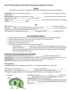 Unit 5 Photosynthesis and Cellular Respiration