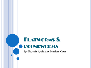Flatworms & roundworms