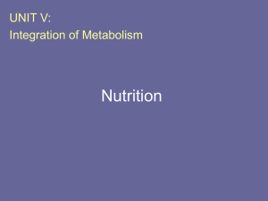 Introduction to Carbohydrates