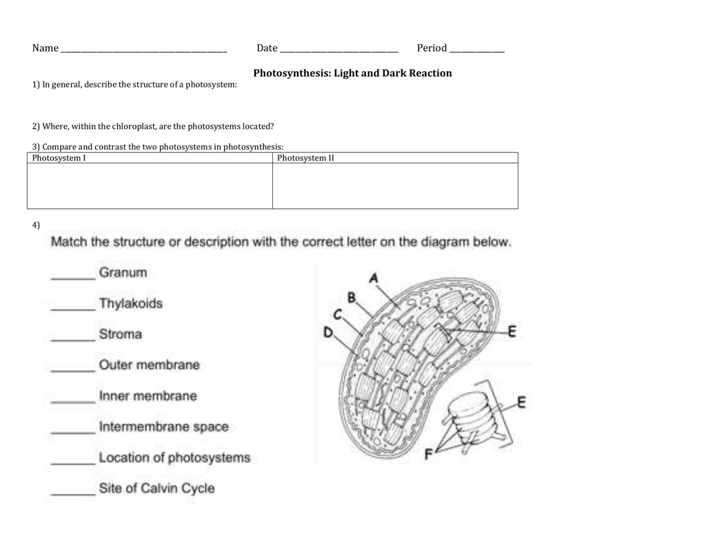 Label the parts of the Calvin Cycle For Photosynthesis Diagrams Worksheet Answers