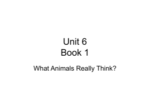 What Animals Really Think
