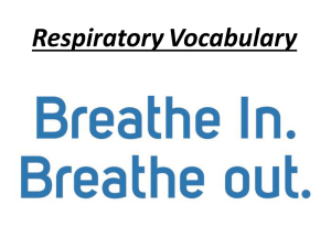 Respiratory Vocabulary