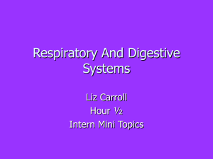 Respiratory And Digestive Systems