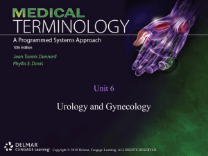 Unit 6 Urology and Gynecology