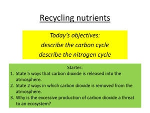 Recycling nutrients - mR. MASIGAN Science