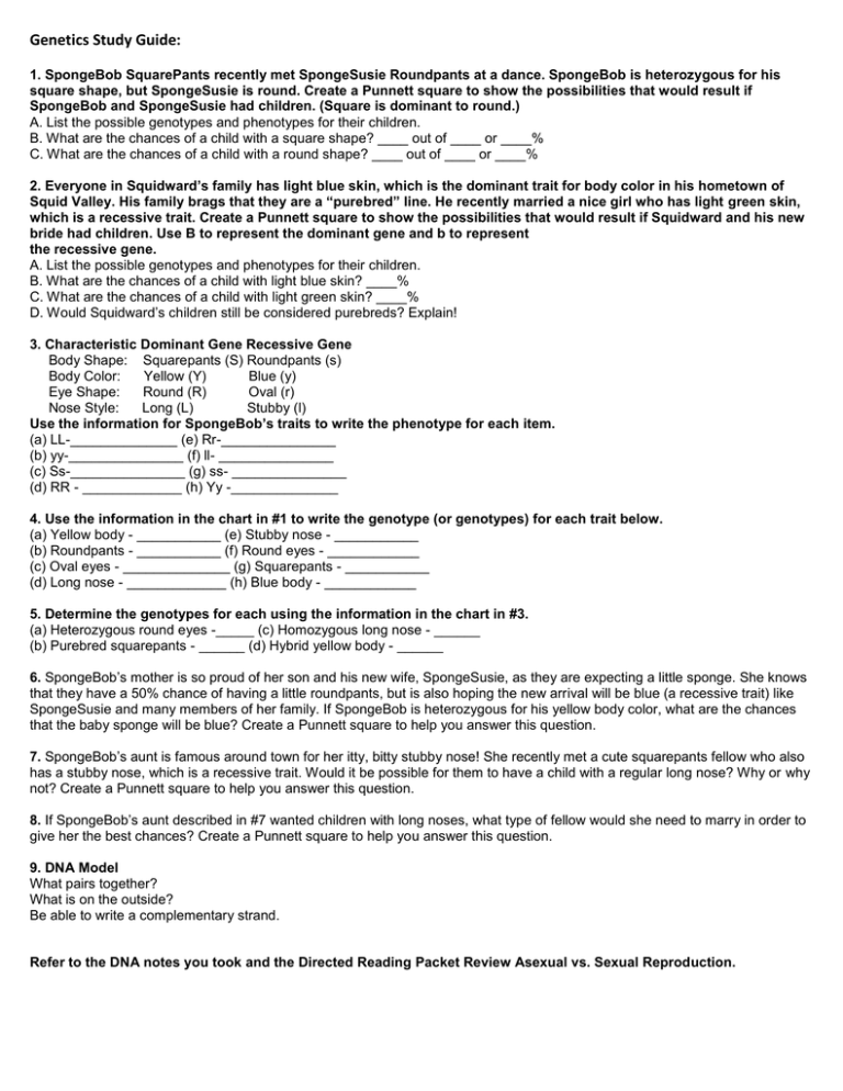Genetics Study Guide Answers Genetics Study Guide Answers