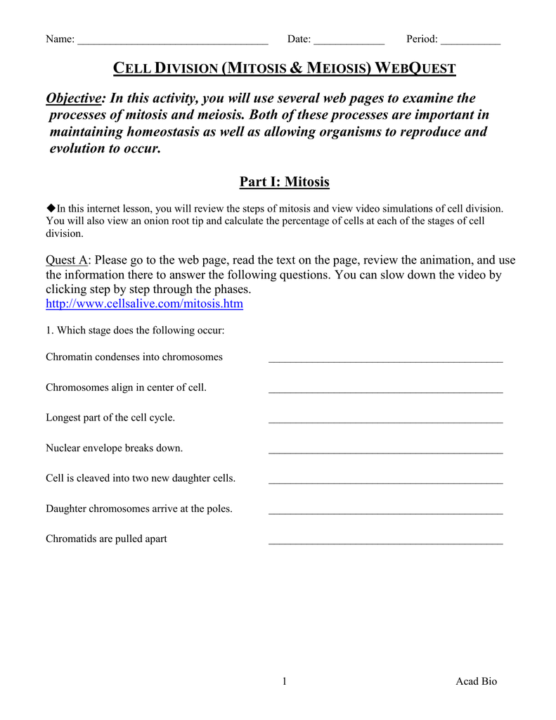 Cell Division (Mitosis & Meiosis) WebQuest