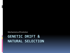 Genetic drift & Natural Selection