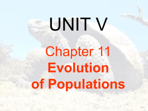 PowerPoint Lecture Chapter 11