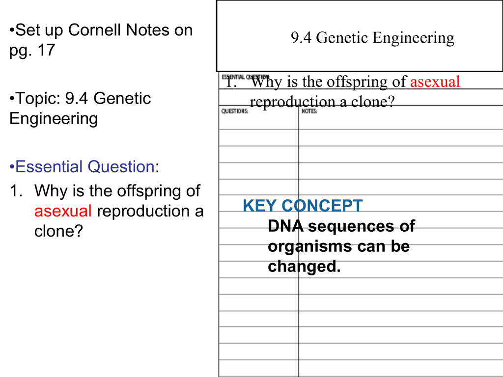 Chapter 91 Manipulating Dna Study Guide Answer Key Study Poster Chapter 91 Manipulating Dna Study Guide Answer Key Study Poster