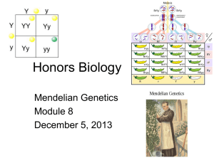 Honors Biology Module 8 Mendelian Genetics