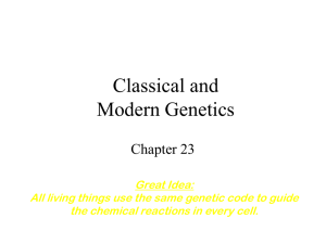 CH 23 Part 2 Modern Genetics