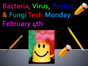 Bacteria, Virus, Protist &Fungi Test: Monday