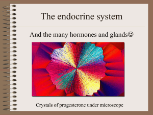 The endocrine system