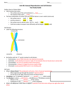 Unit 4B: Asexual Reproduction and Cell Division Test Study Guide
