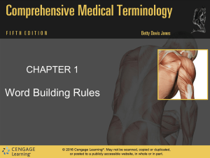 respiratory system