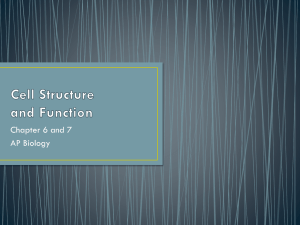 Cell Structure and Function