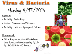 Week 4 Virus Notes