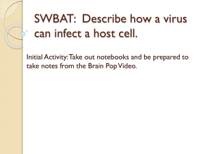 What are viruses?