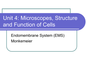 Unit 3: Microscopes, Structure and Function of Cells