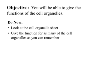 Objective: You will be able to list the parts of the cell theory.
