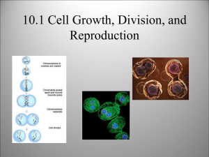 10.1 Cell Growth, Division, and Reproduction - OG