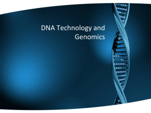 Gene Technology - Down the Rabbit Hole