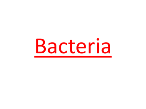 2014 Bacteria ppt