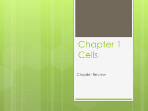 Chapter 1 Cells