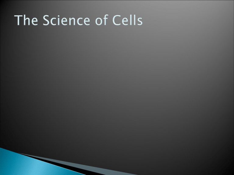 What Does Cell Wall Mean In English