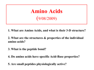 Amino Acids