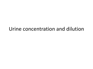 6.Urine concentration and dilution