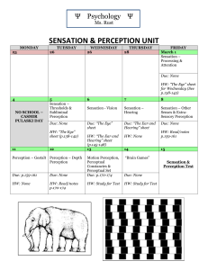 sensation & perception unit