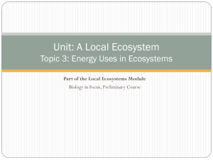 3.1.1 Energy Uses in Ecosystems