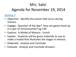 Mrs. Salvi Agenda for 8/25/2011