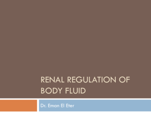 Renal regulation of body fluid