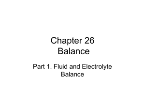 Chapter 26 Balance