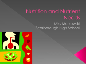 Nutrition 14 - HealthMarkowski