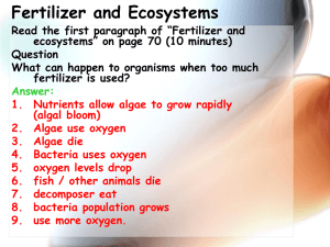 Agriculture and Nutrient Cycles