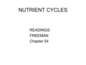 Lecture 11: Nutrient Cycles